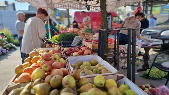 owoce w skrzynkach wyłożone podczas jarmarku