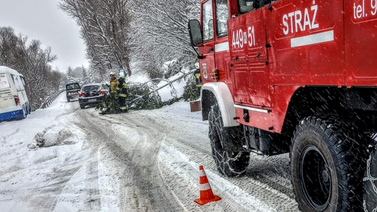 Pod naporem śniegu łamią się kolejne drzewa – ile razy wyjeżdżali strażacy i druhowie?