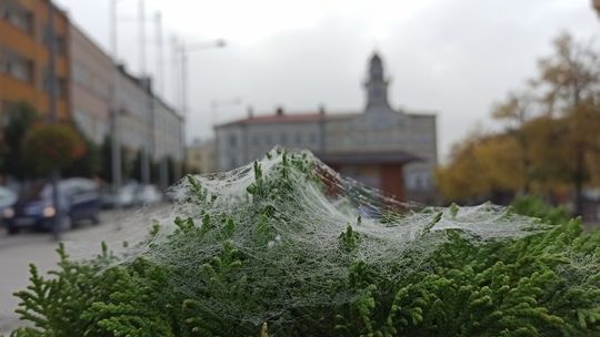 Podsłuchana historia, która budzi nasz uśmiech. Zachwyt to kwestia perspektywy