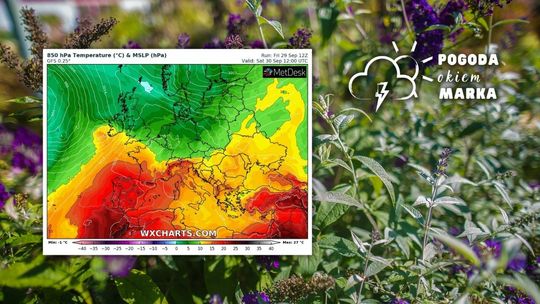 kwiaty w Eko-Tech2 łąka filetowych kwiatów i mapa prognozy pogody Europy