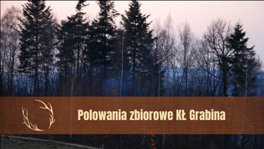 Polowania zbiorowe koła łowieckiego „Grabina” z Biecza