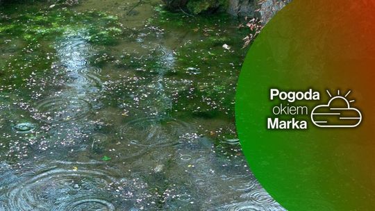 zdjęcie przedstawia kałużę z deszczem