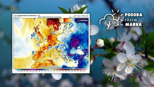 mapa pogody europy a w tle kwiaty jabłoni na drzewie