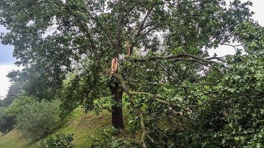 Prawie 90 strażaków sprzątało po wichurze