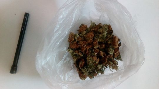 Przeszukanie warte 8 gramów marihuany