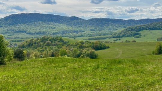 Quiz o Beskidzie Niskim. Sprawdź, ile wiesz o górach, szlakach i punktach widokowych Zdjęcie przedstawia panoramę Beskidu Niskiego