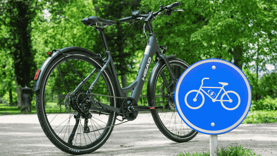 Rower elektryczny a prawo drogowe - co warto wiedzieć przed zakupem? zdjęcie przedstawia stojący rower na alejce parkowej