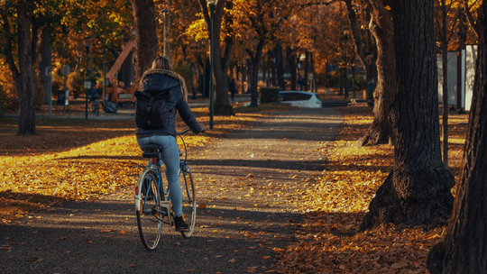 zdjęcie przedstawia kobietę na rowerze, która jedzie przez park