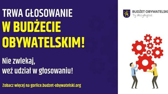 Rozpoczęło się głosowanie na Budżet Obywatelski Miasta Gorlice!
