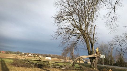 Silny wiatr nie odpuszcza. Strażacy cały czas wyjeżdżają do powalonych drzew i zerwanych dachów [AKTUALIZACJA]