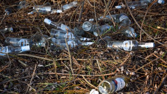 Zdjęcie przedstawia butelki po alkoholu leżące w krzakach