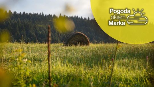 zdjęcie przedstawia balę słomy na polu