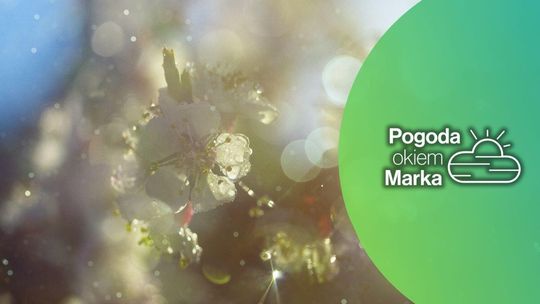 zdjęcie przedstawia krople deszczu w słońcu