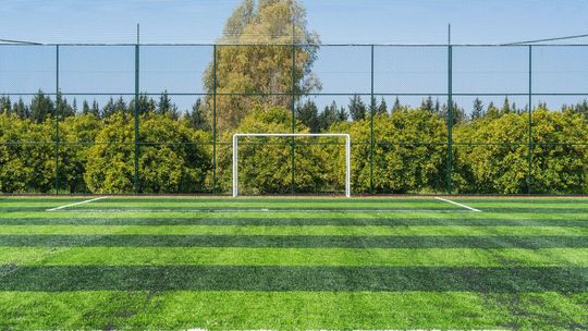 Zdjęcie przedstawia boisko sportowe