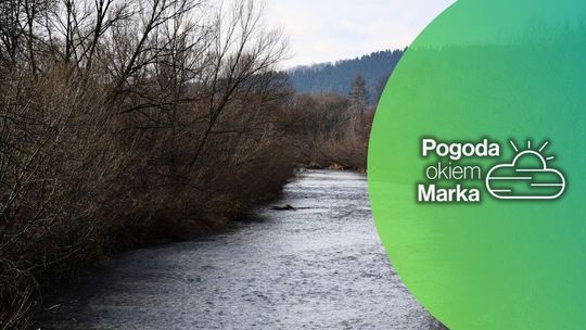 zdjęcie przedstawia rzekę i krzaki zwisające nad nią