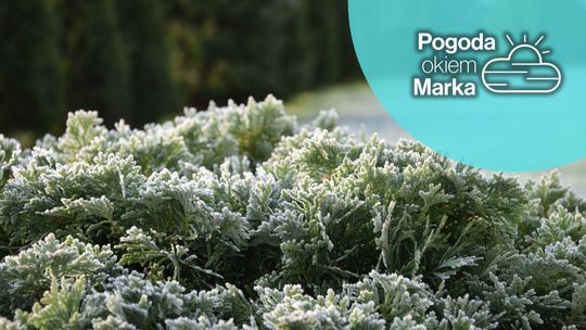 Środa z zapowiedzią lepszej pogody | Prognoza pogody na dziś - halogorlice.info zdjęcie przedstawia zmrożoną trawę