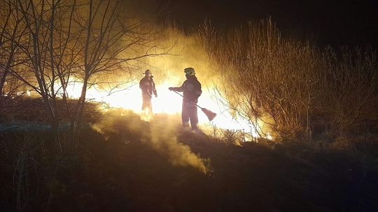 Strażacy alarmują. To poważny problem, który narasta [FOTO/VIDEO]