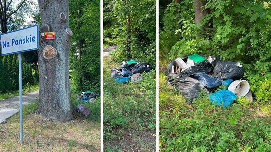 zdjęcie przedstawia nielegalne wysypisko śmieci