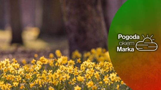 Temperatura prawie taka, jak w Laponii | Prognoza pogody na dziś - halogorlice.info