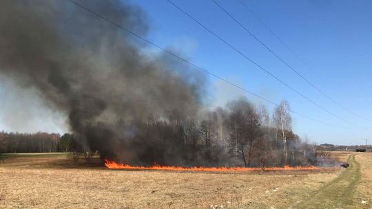 zdjęcie przedstawia palącą się trawę