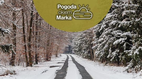 zdjęcie przedstawia drogę w lesie ze śniegiem