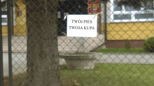 Twój pies – Twoja kupa, czyli o tym, jak gorliczanie sprzątają po swoich pupilach