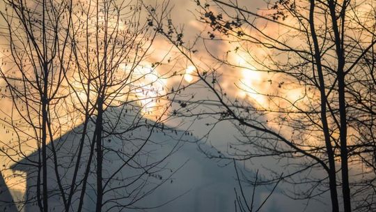 drzewa a za nim palący się budynek, pełno dymu