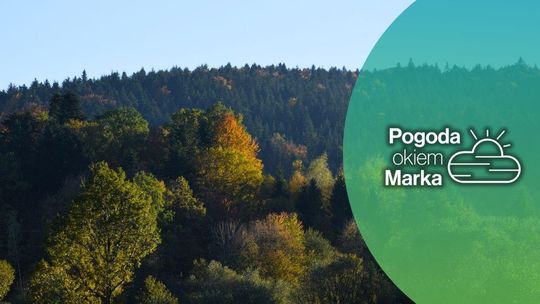 W piątek jeszcze ładnie, a później? | Prognoza pogody na dziś - halogorlice.info zdjęcie przedstawia las