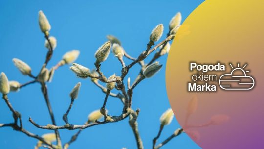 We czwartek znów chłodno i pochmurnie | prognoza pogody na dziś - halogorlice.info