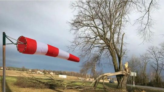 Wiatr w porywach do 70 km/h. Wydano ostrzeżenie