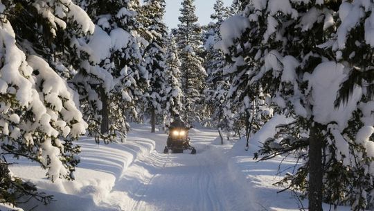 Zakopane zimą – czas na aktywność