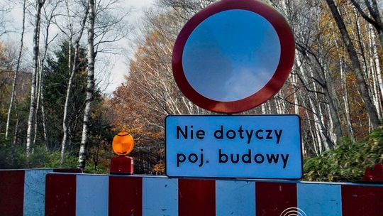 zdjęcie przedstawia drogę przez las, przed nią znak zakazu