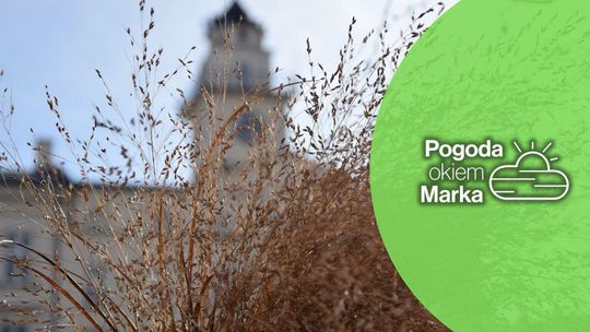 Zapowiada się ładna, grudniowa sobota | Prognoza pogody na dziś - halogorlice.info zdjęcie przedstawia trawę ozdobną przed budyniem ratusza w gorlicach