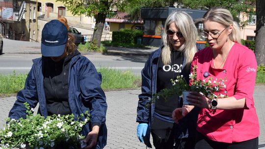 Zielona zamiana w Gorlicach: rozdano 900 sadzonek za surowce wtórne [FOTO]