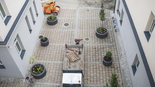 Zdjęcie dziedzińca w Gorlicach podczas sadzenie drzew i innych roślin