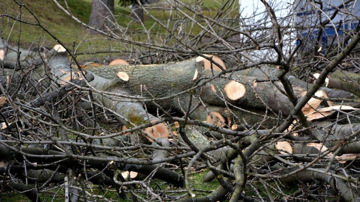 Gmina Lipinki. Apel do mieszkańców o podjęcie działania