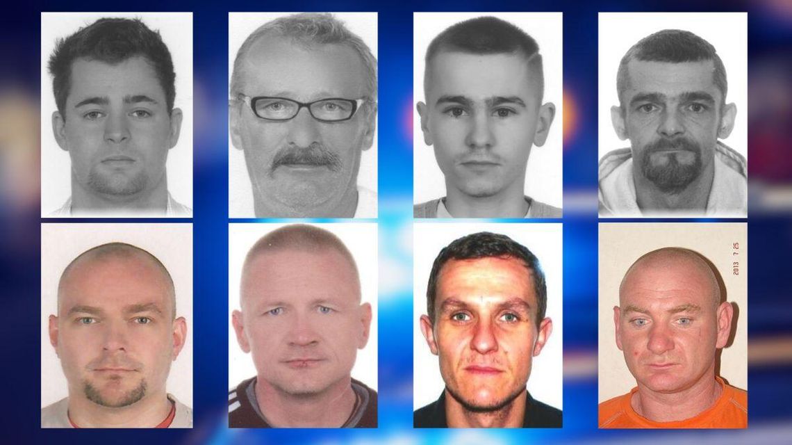 Gorliczanie, którzy mają z prawem na bakier. To oni są poszukiwani przez policję zdjęcie przedstawia portrety osób