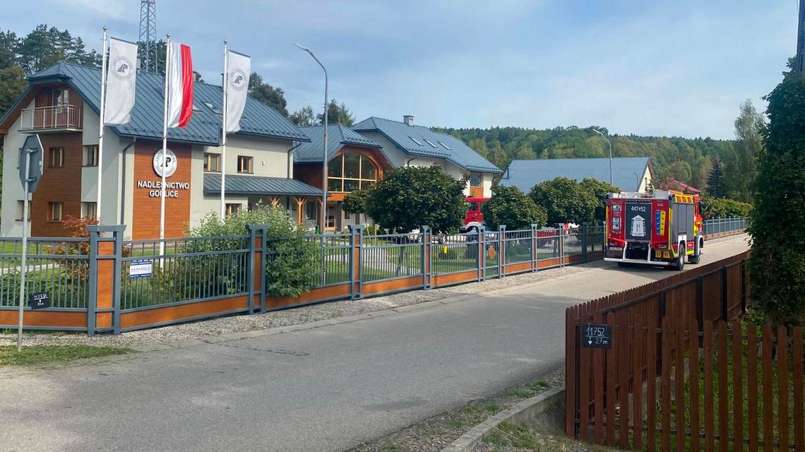 wozy straży pożarnej przed budynkiem w zagórzanach przed budynkiem nadleśnictwa gorlice