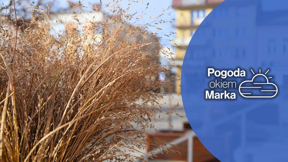 Aura podzieli nasz powiat na dwie części | Prognoza pogody na dziś - halogorlice.info zdjęcie przedstawia trawy na gorlickim rynku