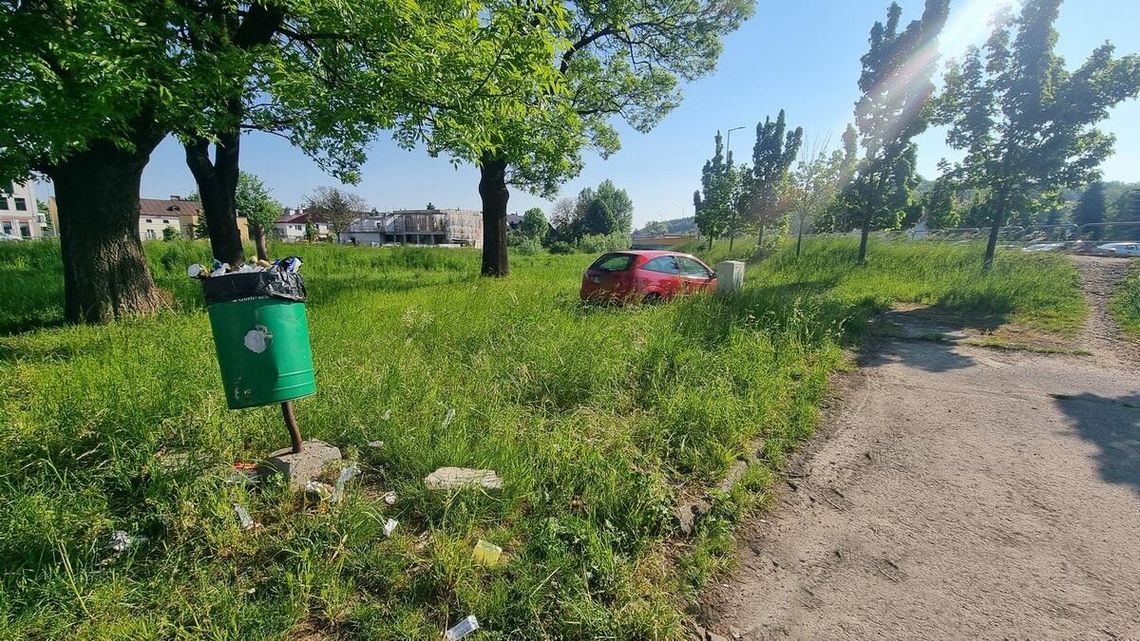 zdjęcie przedstawia czerwony samochód stojący w wysokiej trawie