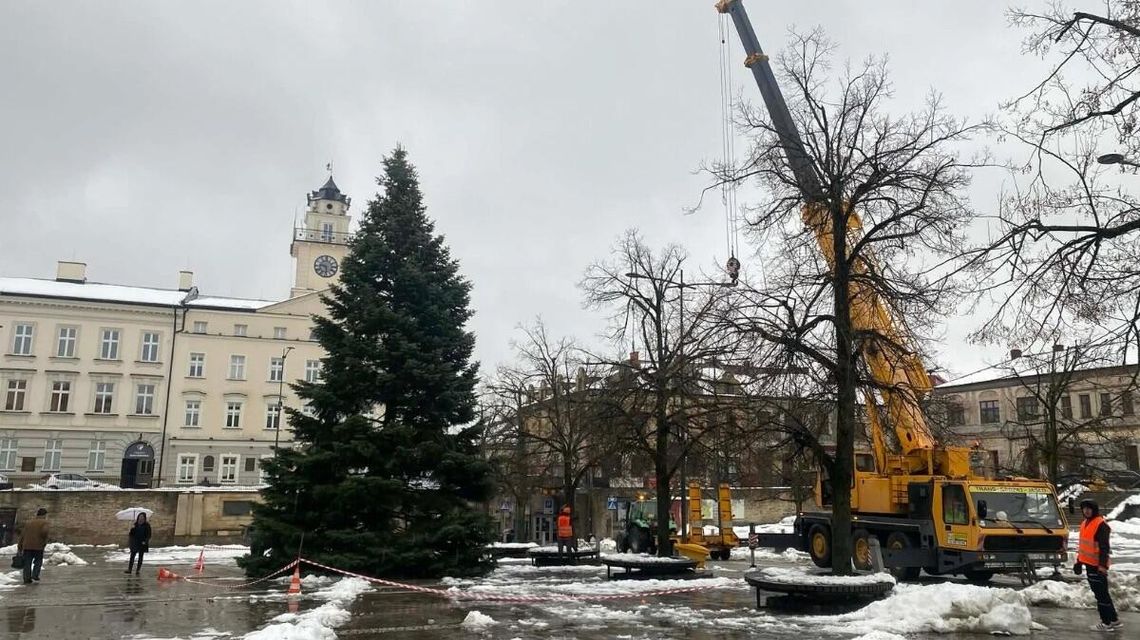 Zdjęcie przedstawia choinkę na gorlickim Rynku
