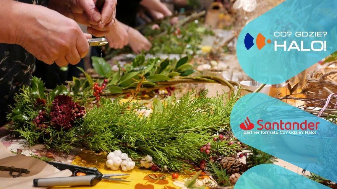 Zdjęcie przedstawia zapowiedz co gdzie halo