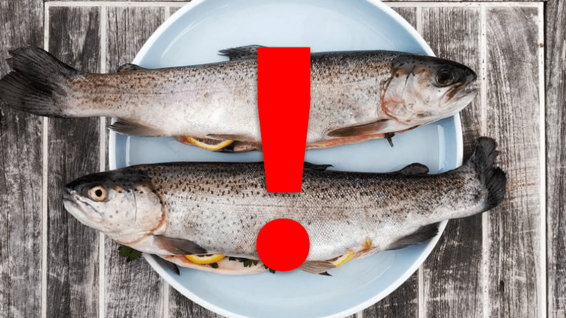 Długa lista produktów rybnych zagrażających zdrowiu. Ostrzeżenie Głównego Inspektoratu Sanitarnego