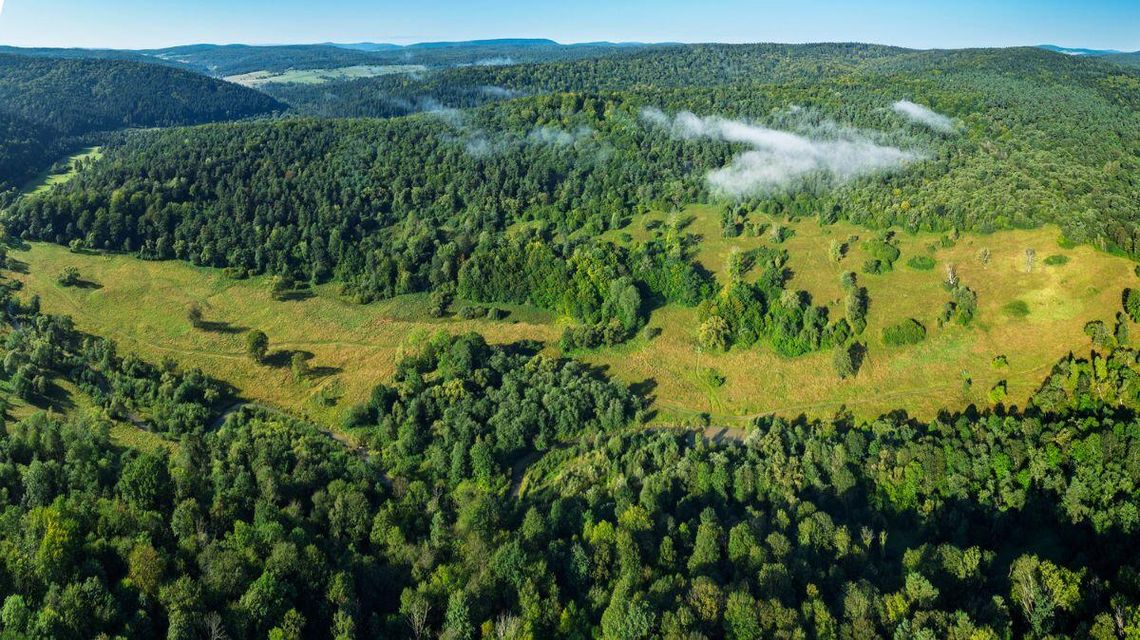 Dolina Nieznajowej sprzedana! Zdjęcie przedstawia Dolinę Nieznajowej, opustoszałej wsi w Beskidzie Niskim.
