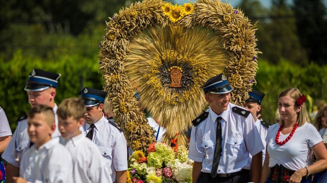 wieniec dożynkowy