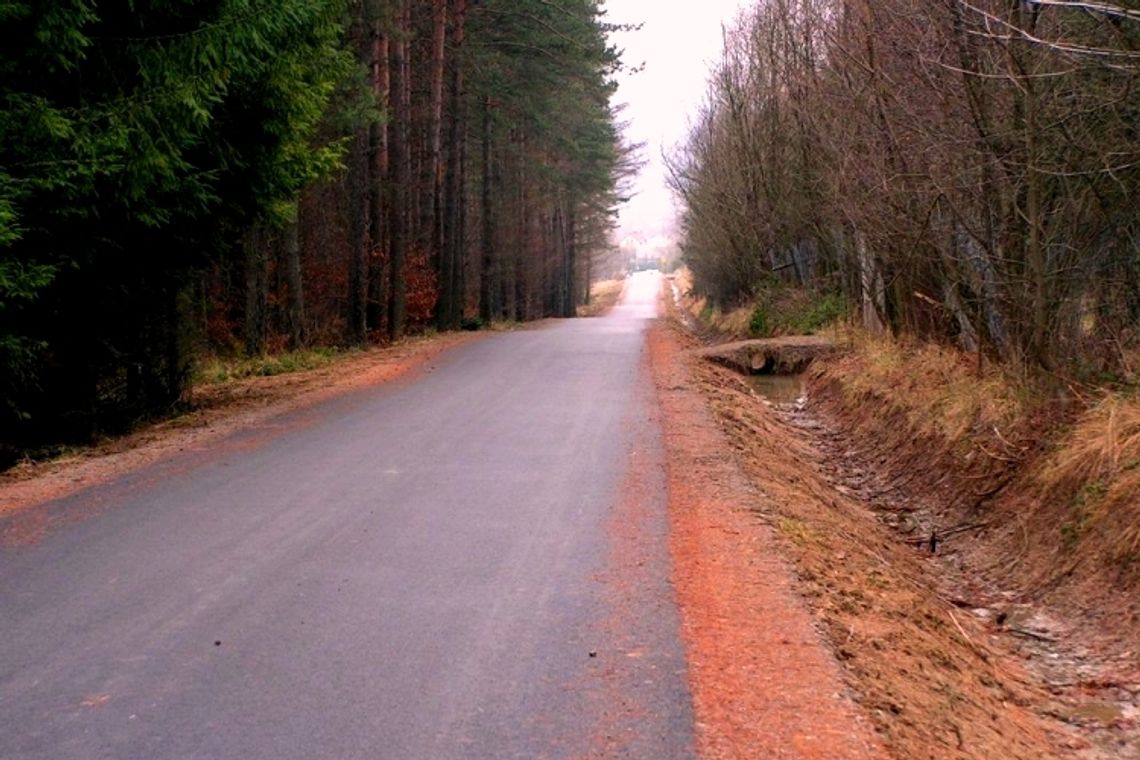 Drogą asfaltową przez las