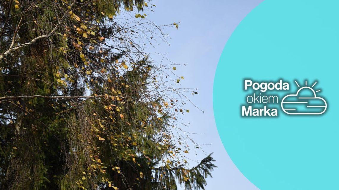 zdjęcie przedstawia brzeg rzeki Ropy w Gorlicach