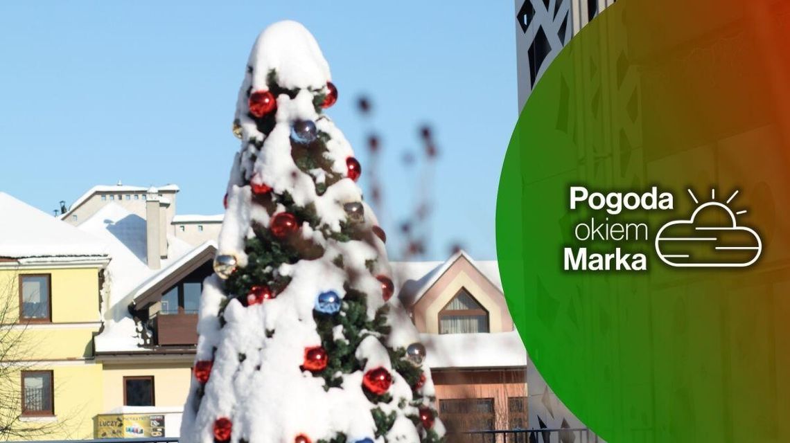 zdjęcie przedstawia choinkę z bańkami obsypaną śniegiem