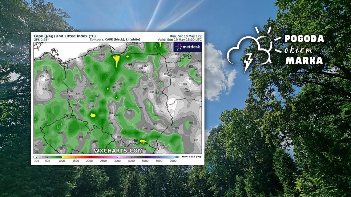 widok nieba i drzew, obok grafika pogody w Polsce