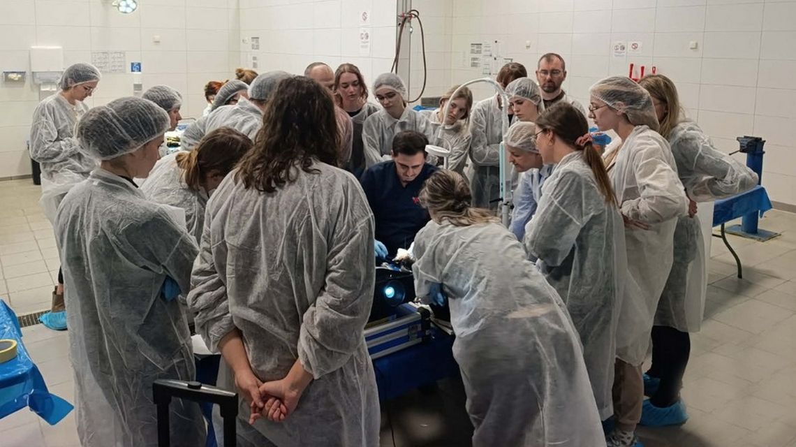 zdjęcie przedstawia grupę osób nachylających się nad stołem w pracowni weterynarii